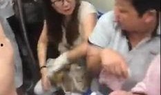 石家庄阿姨最新爆料事件,揭露背后惊人真相