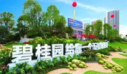 安国碧桂园最新爆料,揭秘项目最新进展与亮点