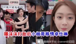 最新网红事件爆料,揭秘近期热门事件背后真相