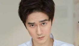 蒋劲夫律师最新爆料,揭秘事件背后惊人真相