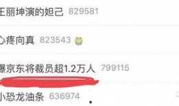 京东员工爆料最新消息数量,揭秘海量消息背后的真相！”
