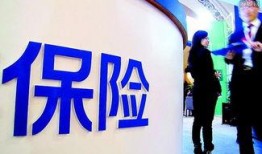 西安保险公司最新爆料,揭秘保险行业内幕与变革动向