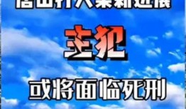 最新唐山爆料案件新闻,真相与争议交织的街头冲突