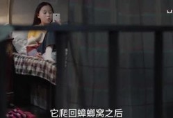 瓜姐最新爆料秘密视频,神秘视频背后的惊人真相